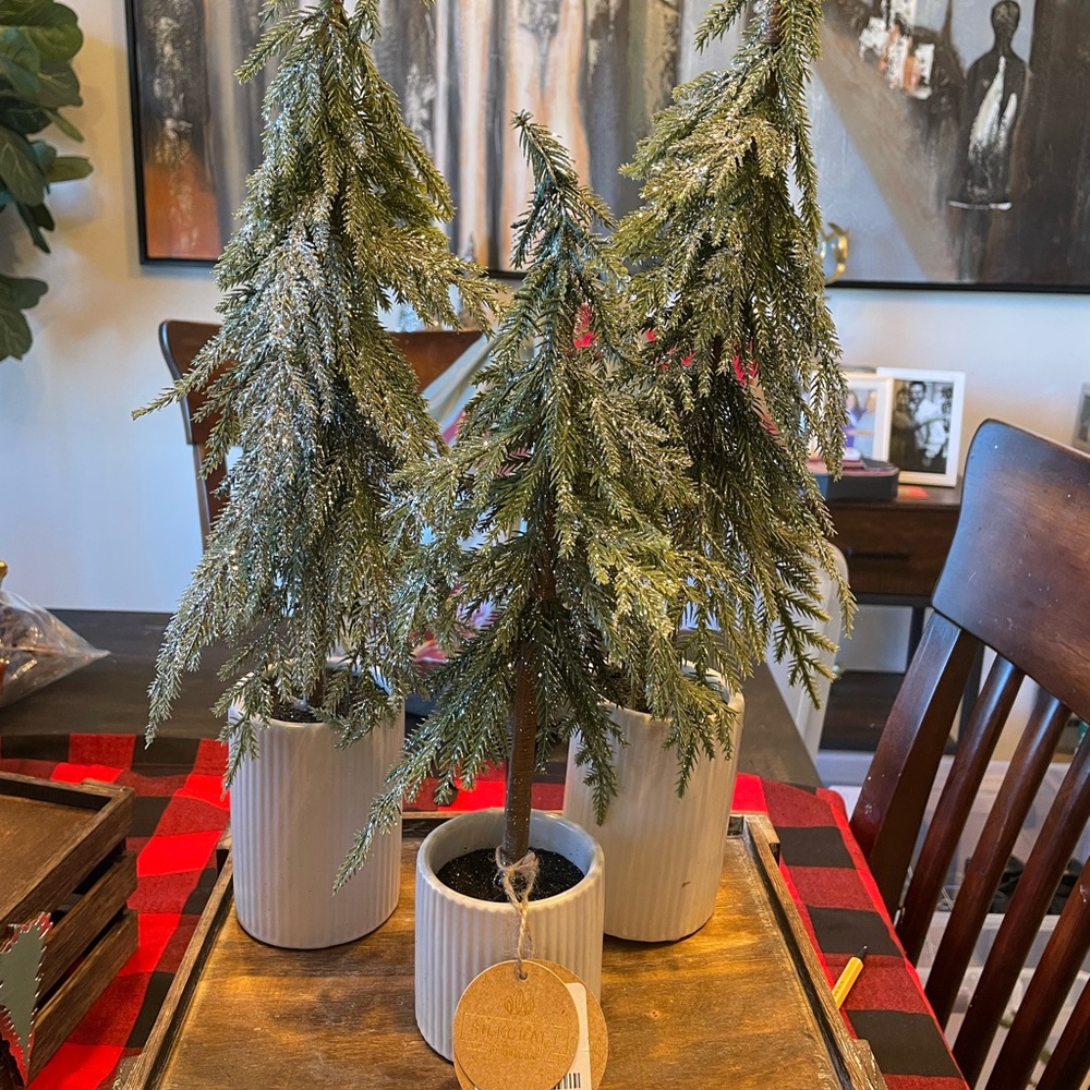 3 pine trees